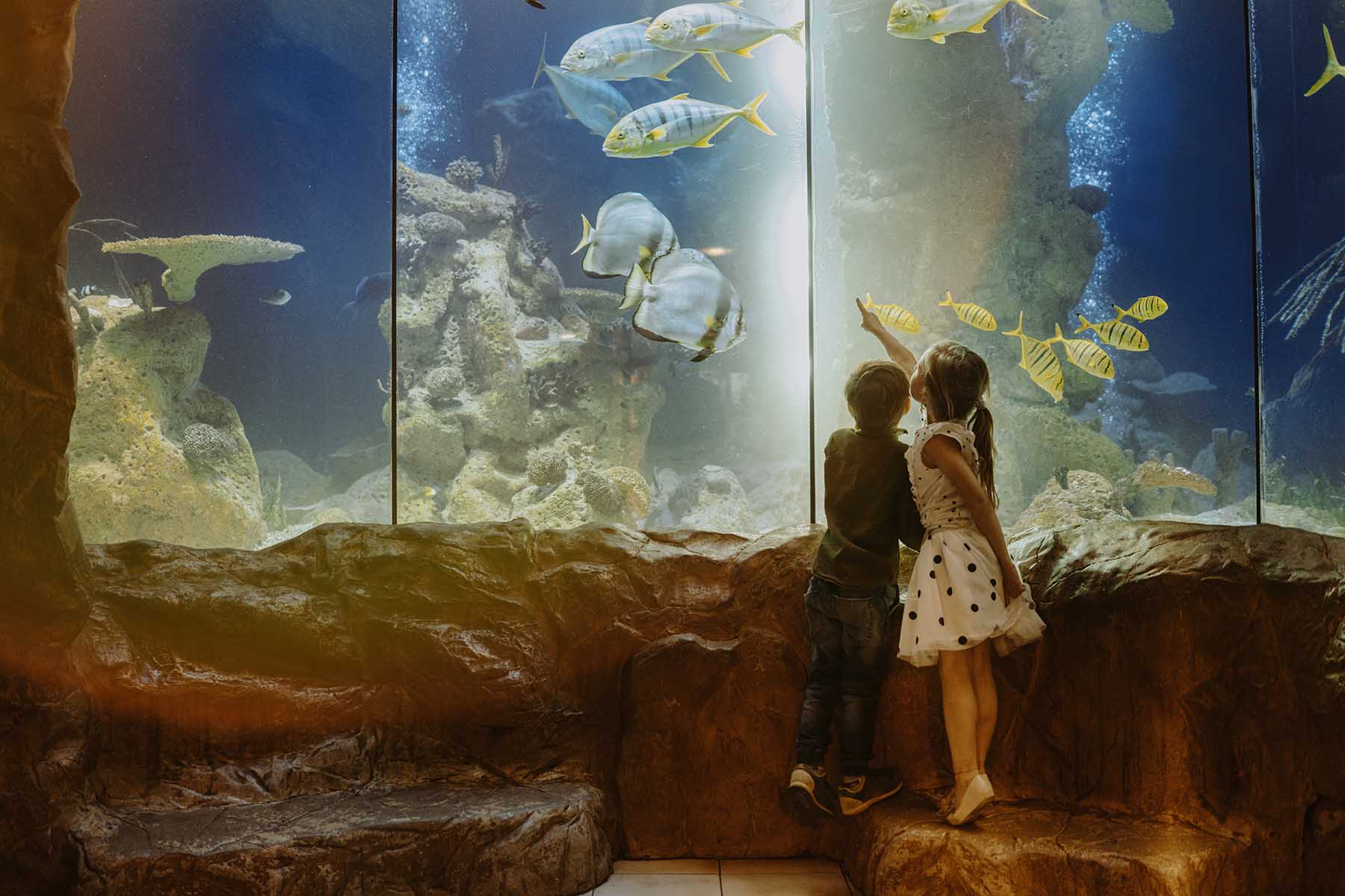 Here’s What Our Homeowners Have to Say About Living in Manatee County, FL