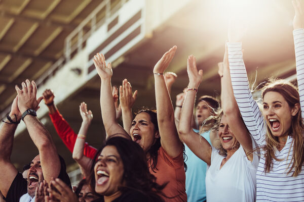 Crowd of people cheering at a sports game