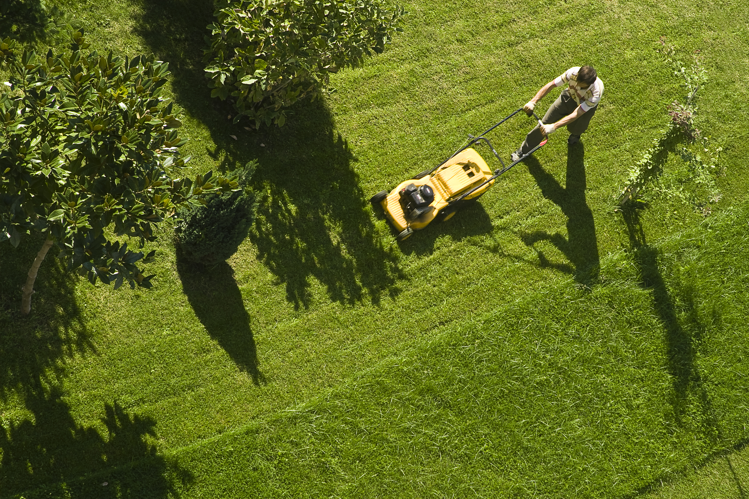 Man mowing yard