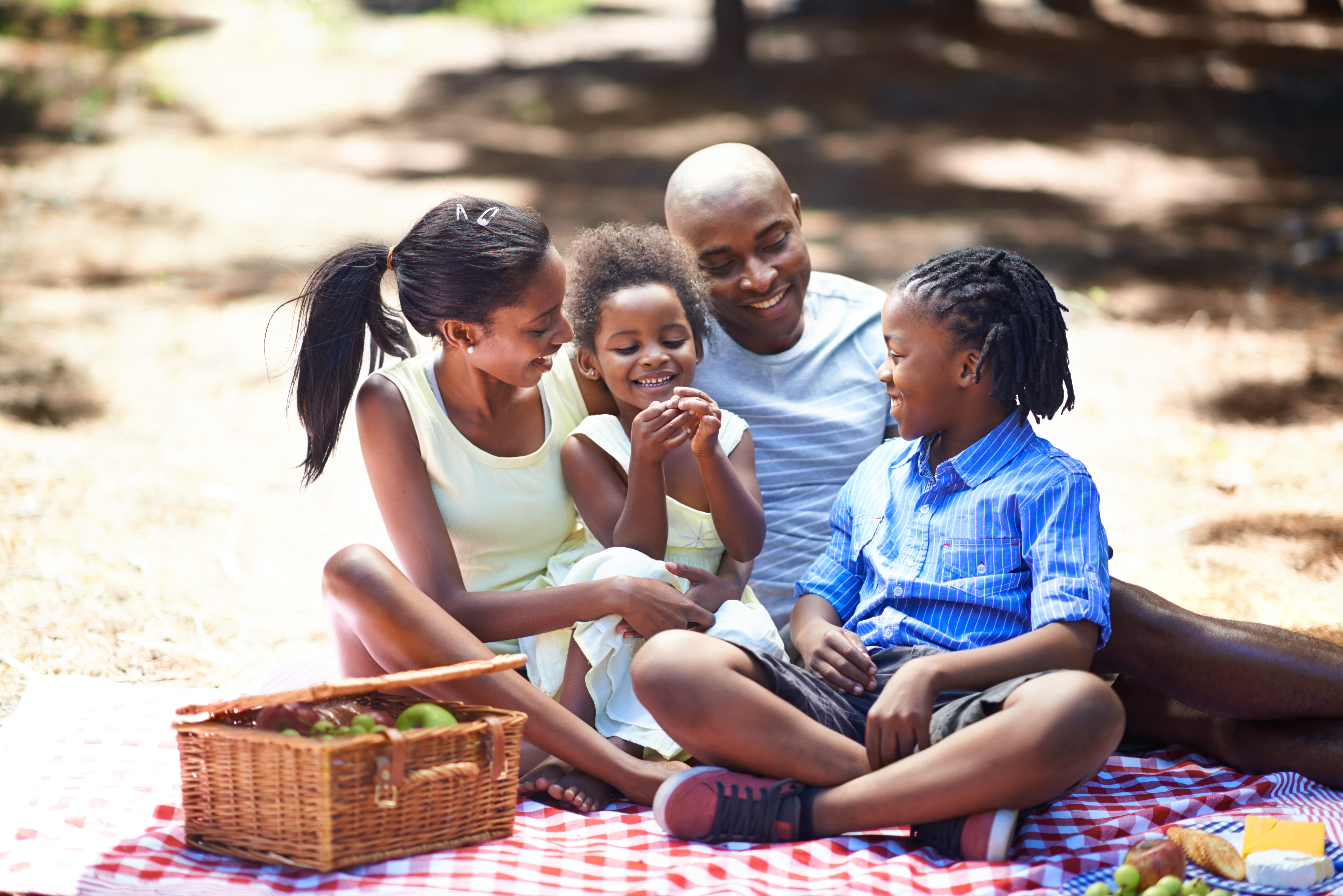 Family Having Picnic