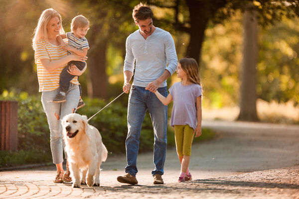 Young family of 4 walking in a park with their dog