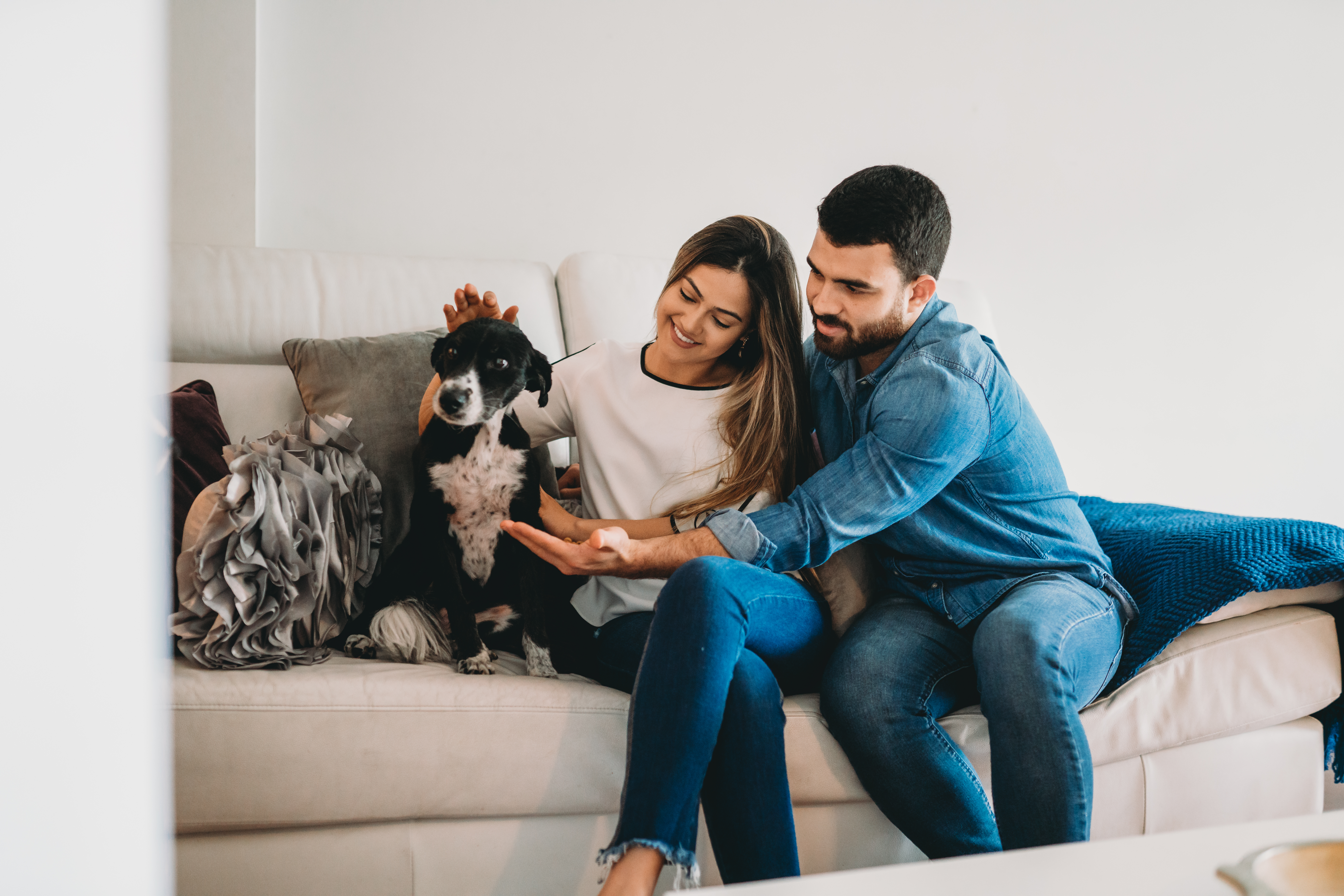 Couple Petting Dog on Couch