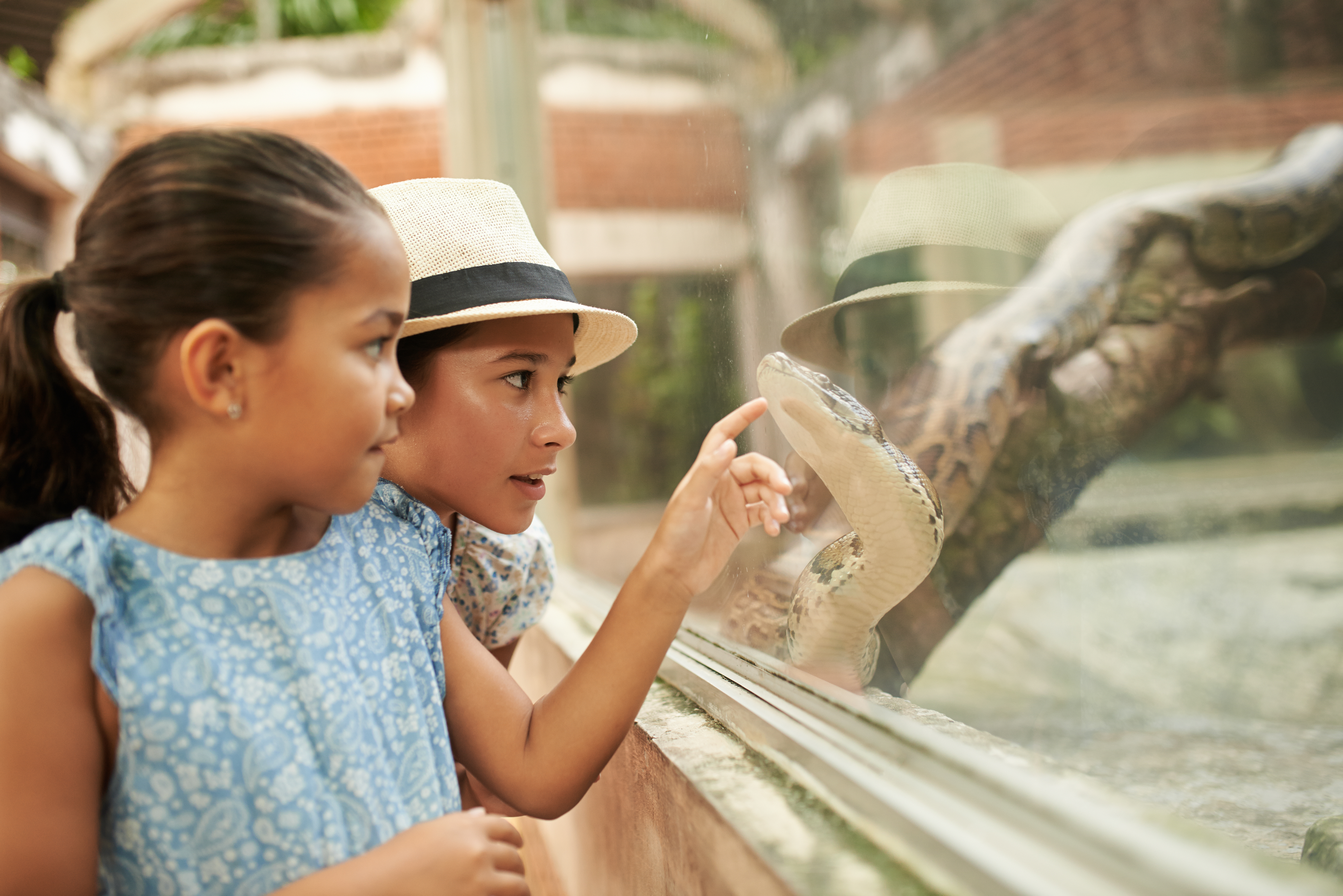 Kids Looking at Snake in Zoo