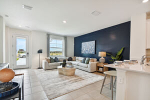 Interior, living room