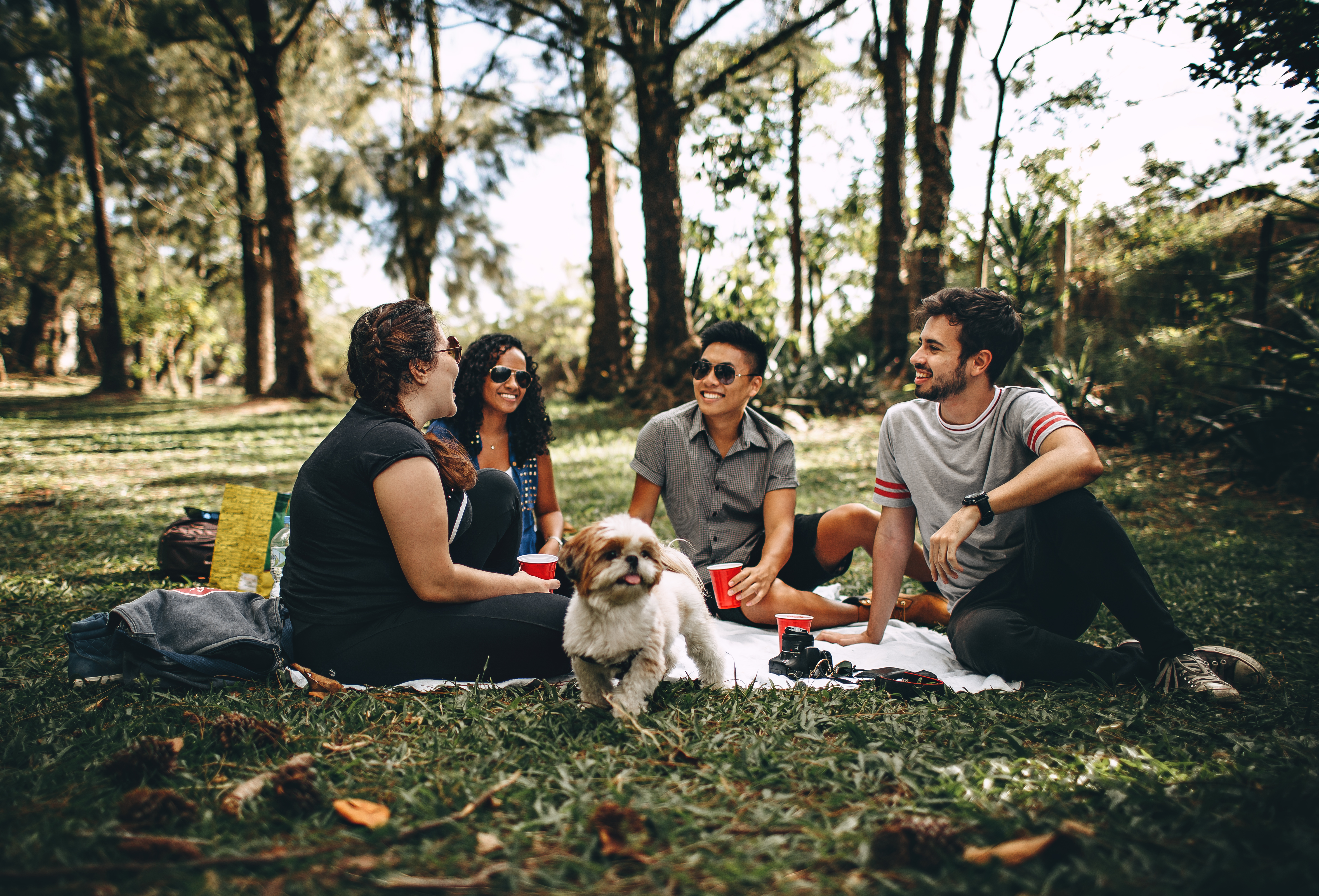 Friends Sitting on Blanket Outside