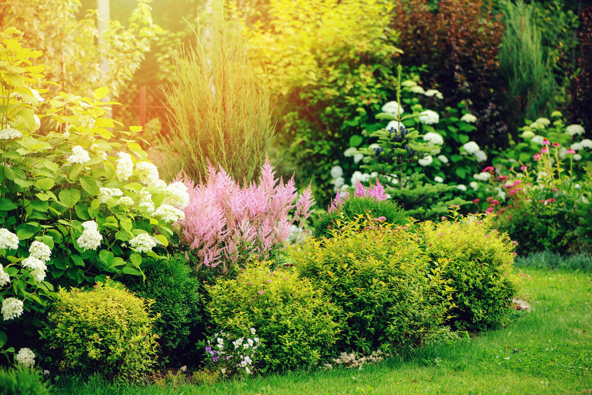 Spruce Up Your Shrubs and Bushes