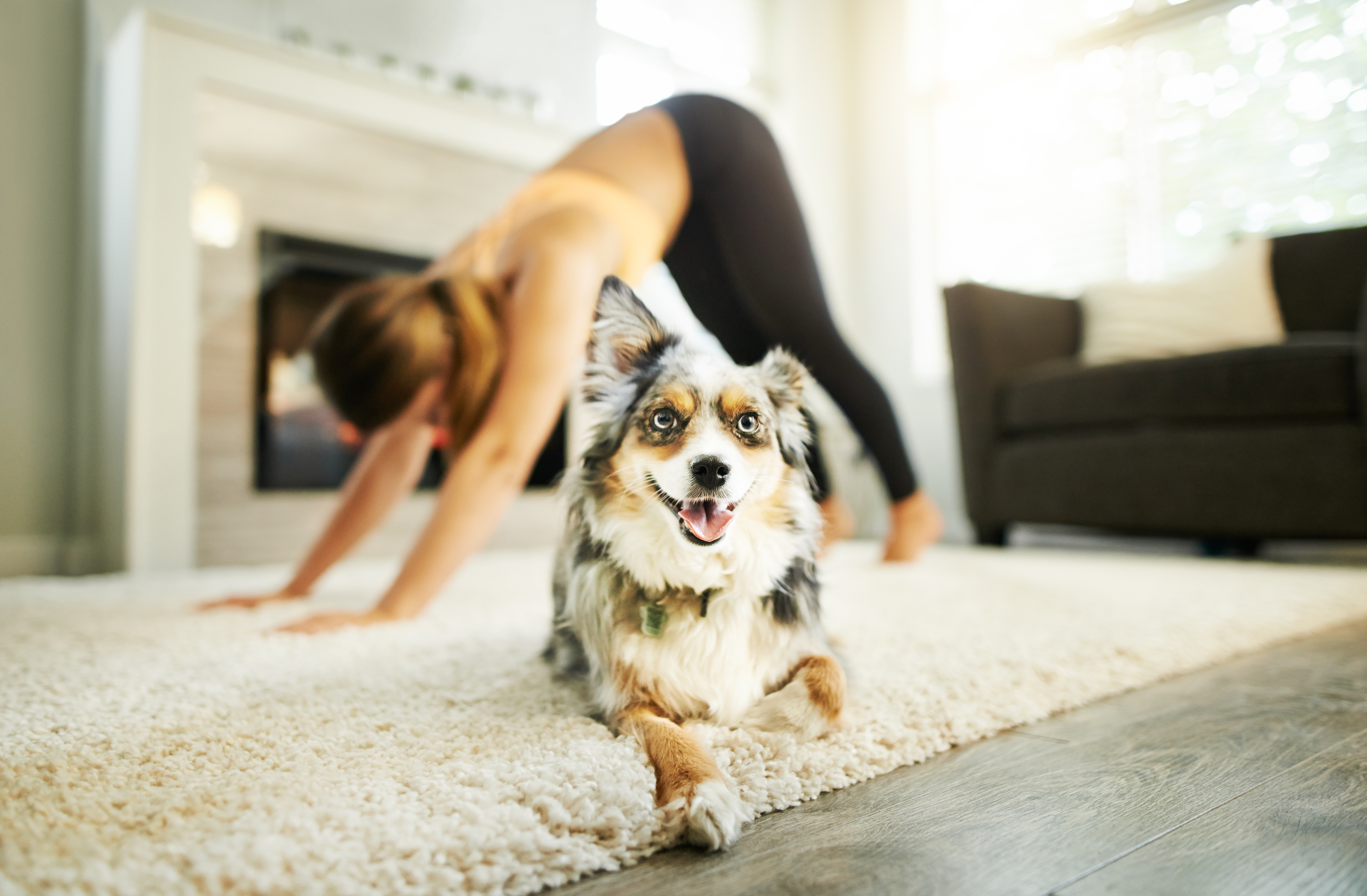 Woman Doing Yoga on Rug Next to Dog