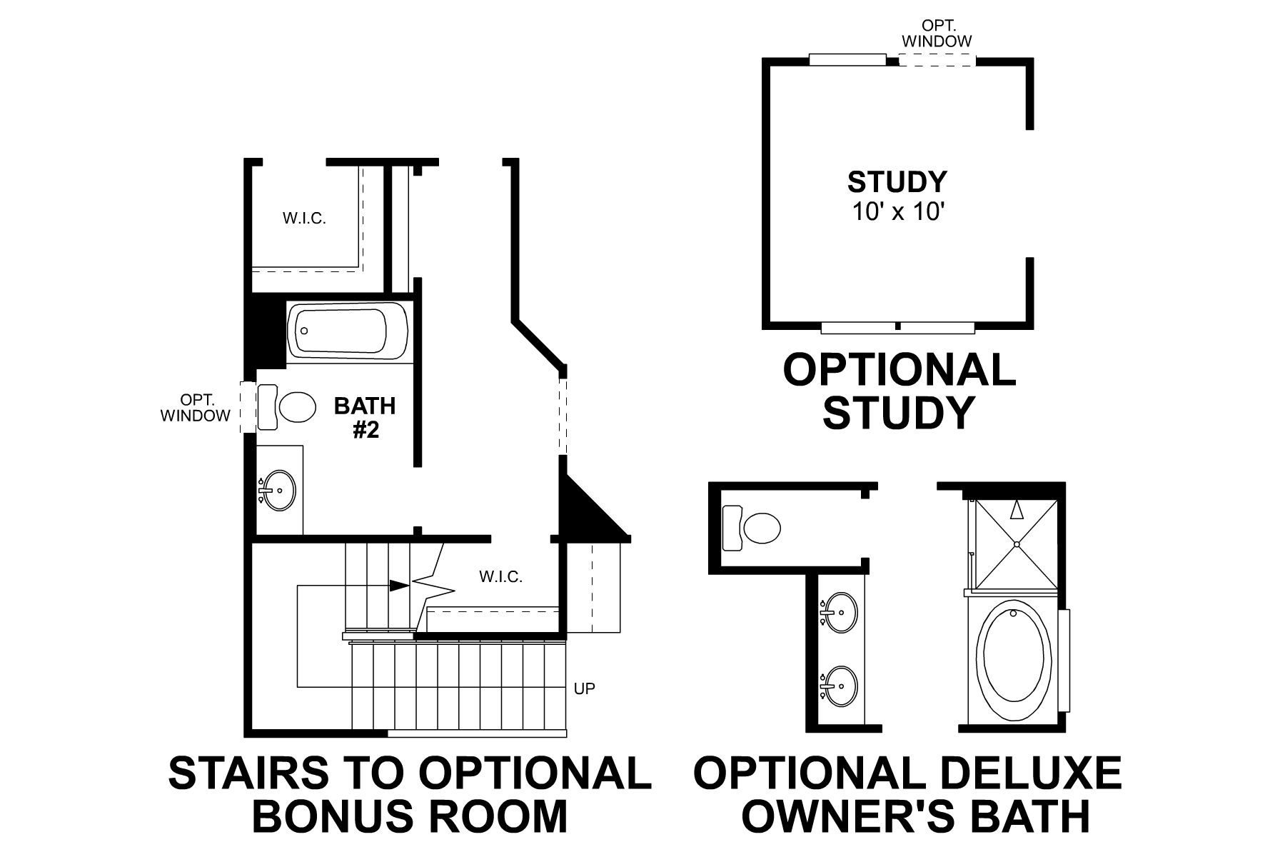 Zinnia First Floor Options