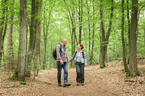 Older couple holding hands as they hike in the woods