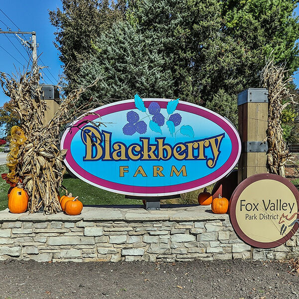 Blackberry Farm