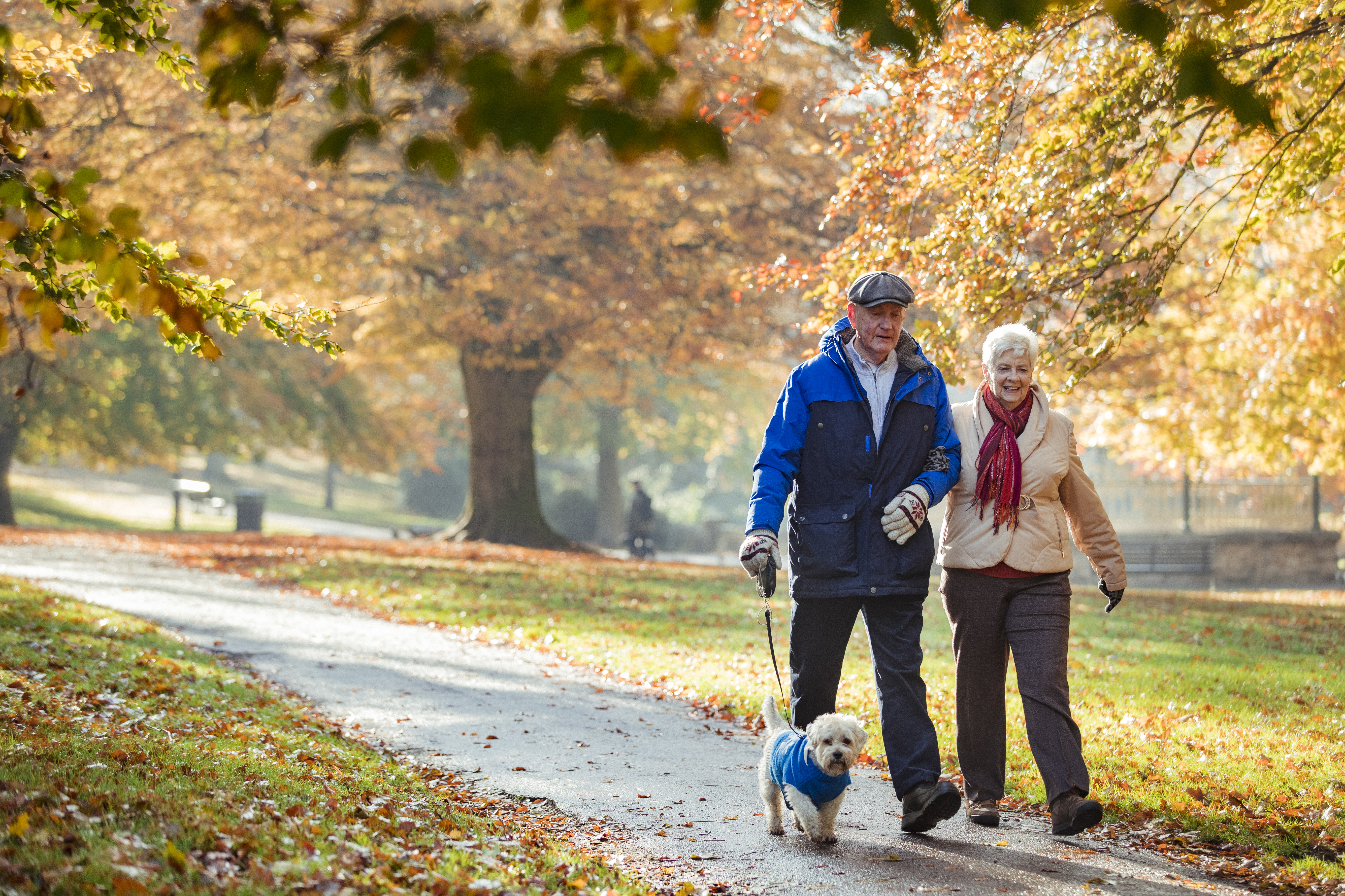 Senior Couple Walking Dog in the Fall