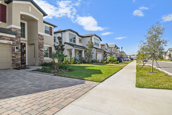 Streetscape of Tampa Homes