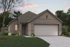 Boxwood Elevation G