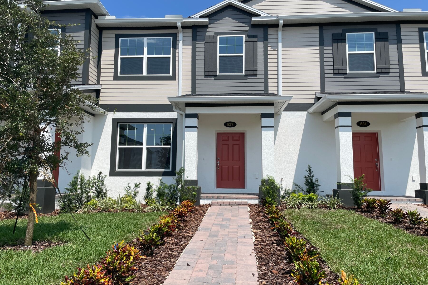 827 Creeping Fig Street