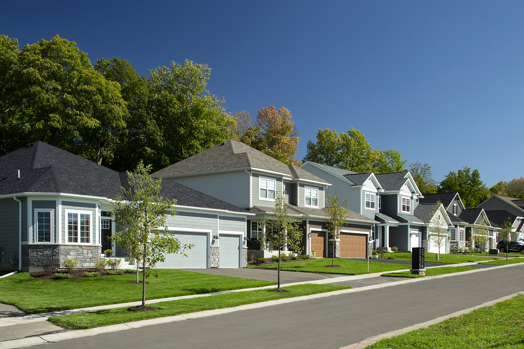 Streetscape of Homes With Trees Behind