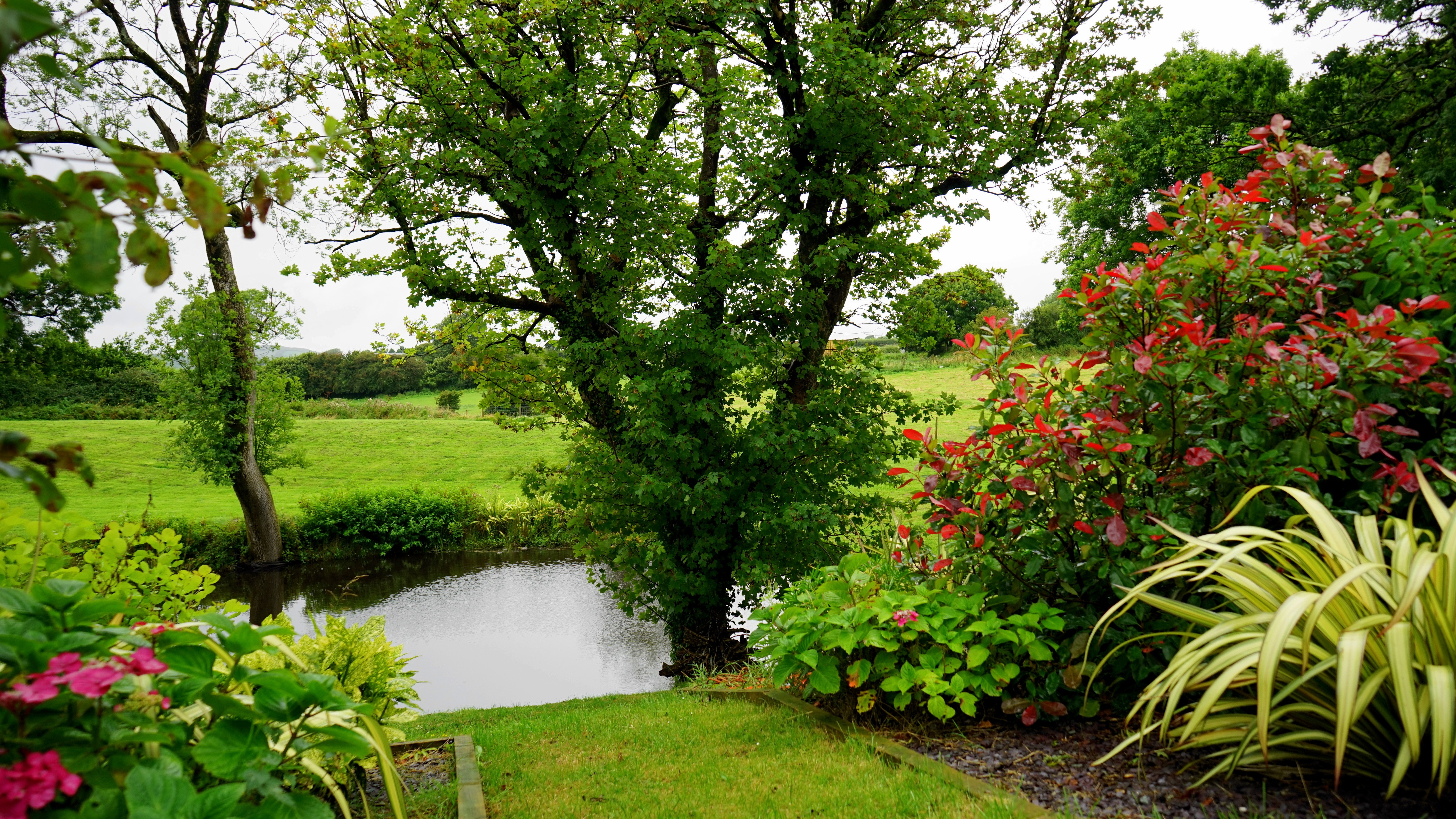 Backyard With Pond and Flowers and Landscaping