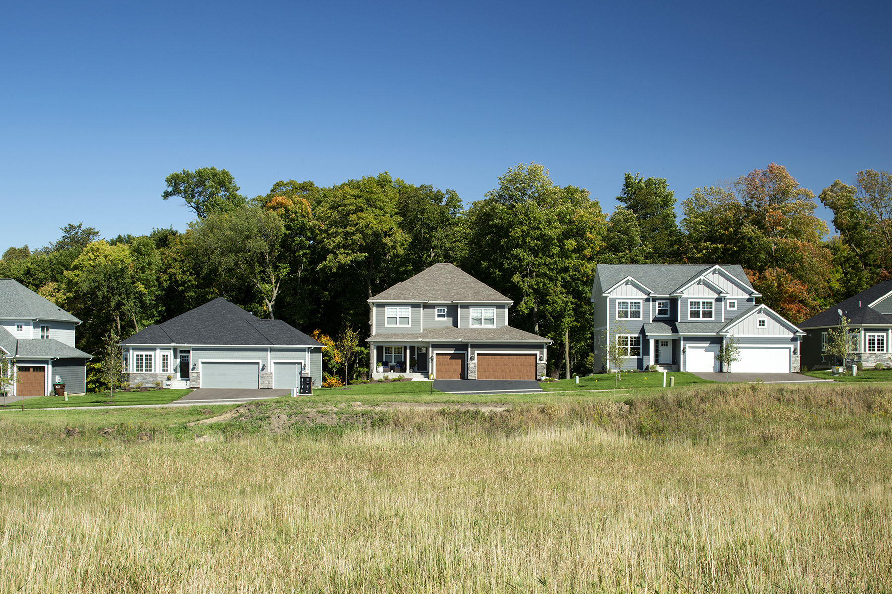 Neighborhood With Trees Behind Homes