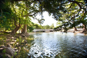 Guadalupe River