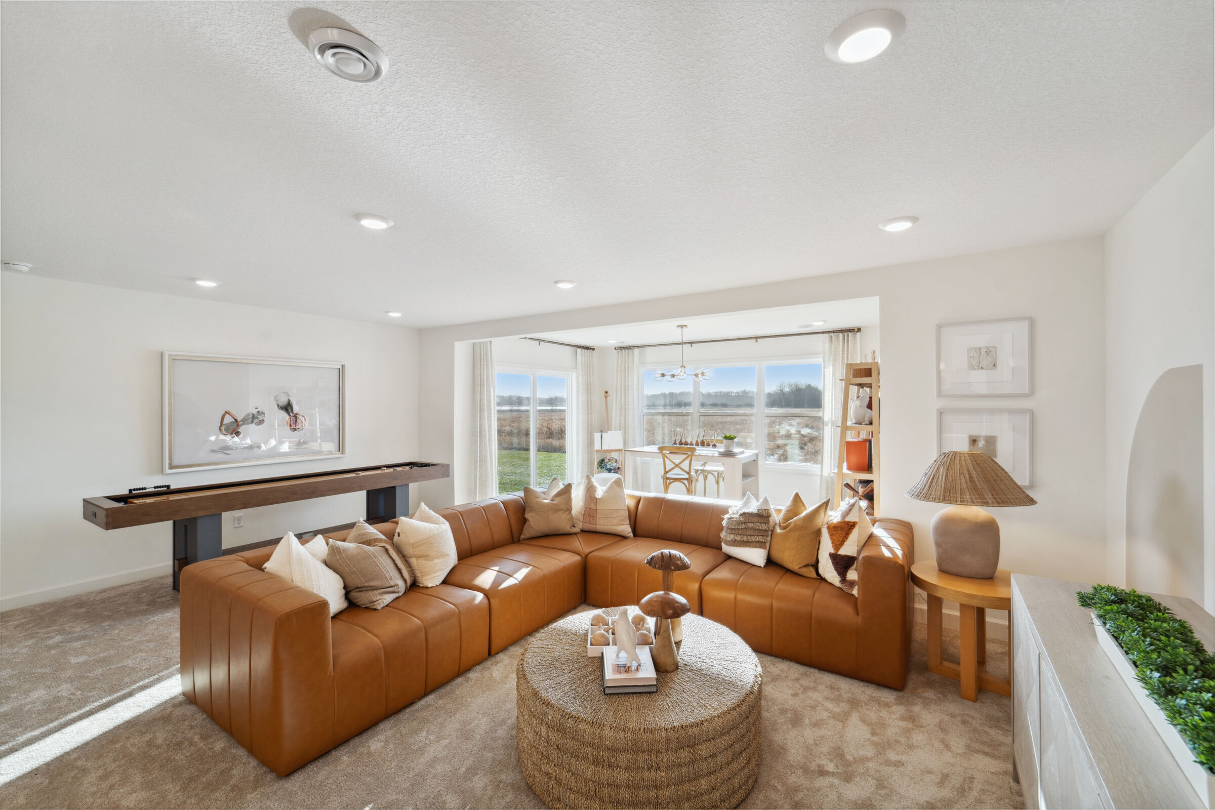 Lower Level Recreation Room