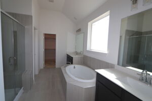 Owner's Bathroom