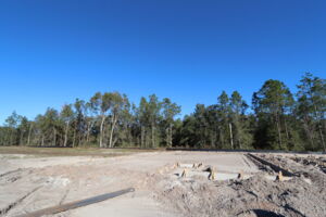 Homesite