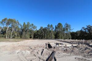 Homesite
