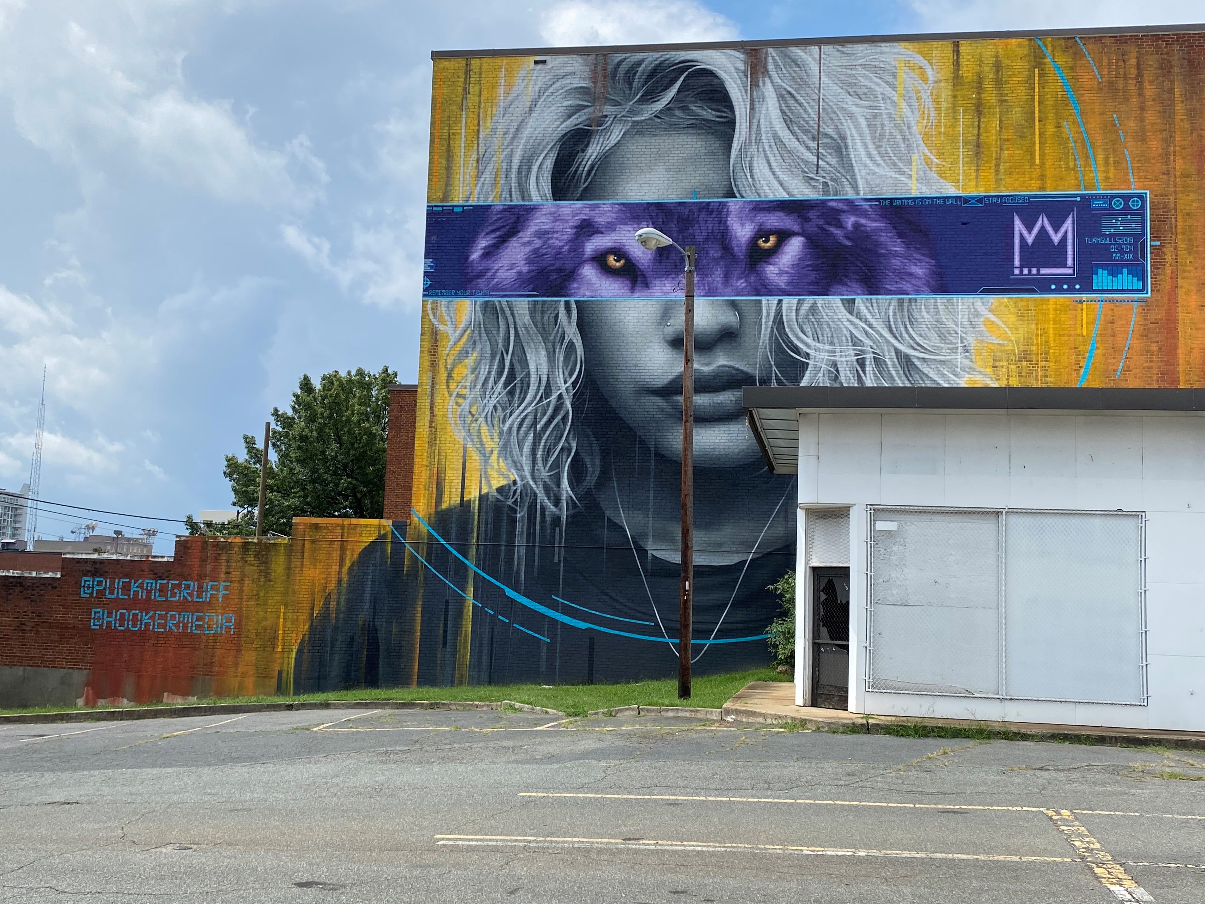 Charlotte Art Mural