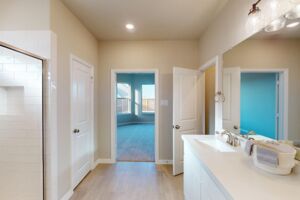 Owner's Bathroom