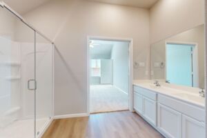 Owner's Bathroom