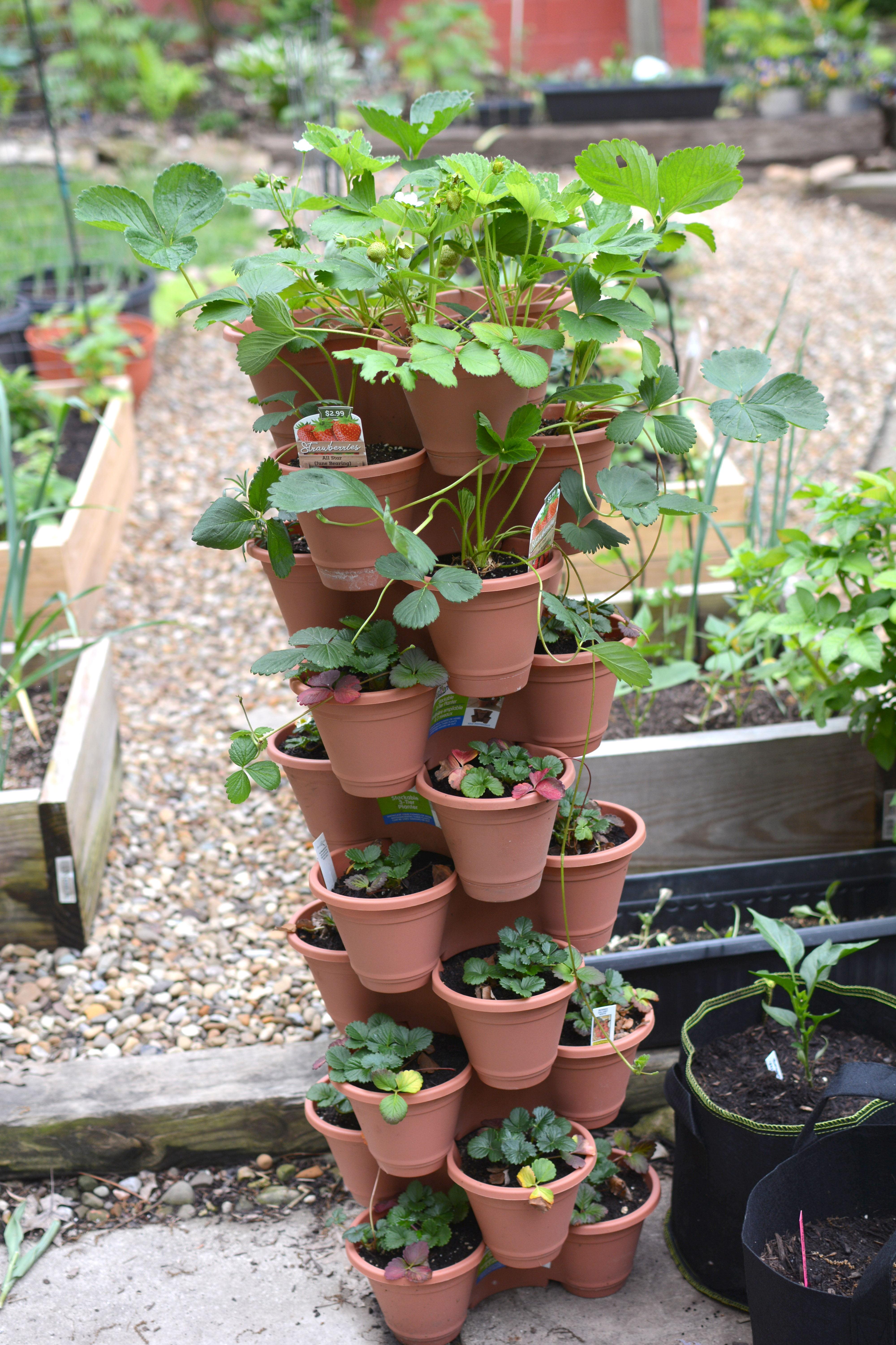 Strawberry Tower Garden