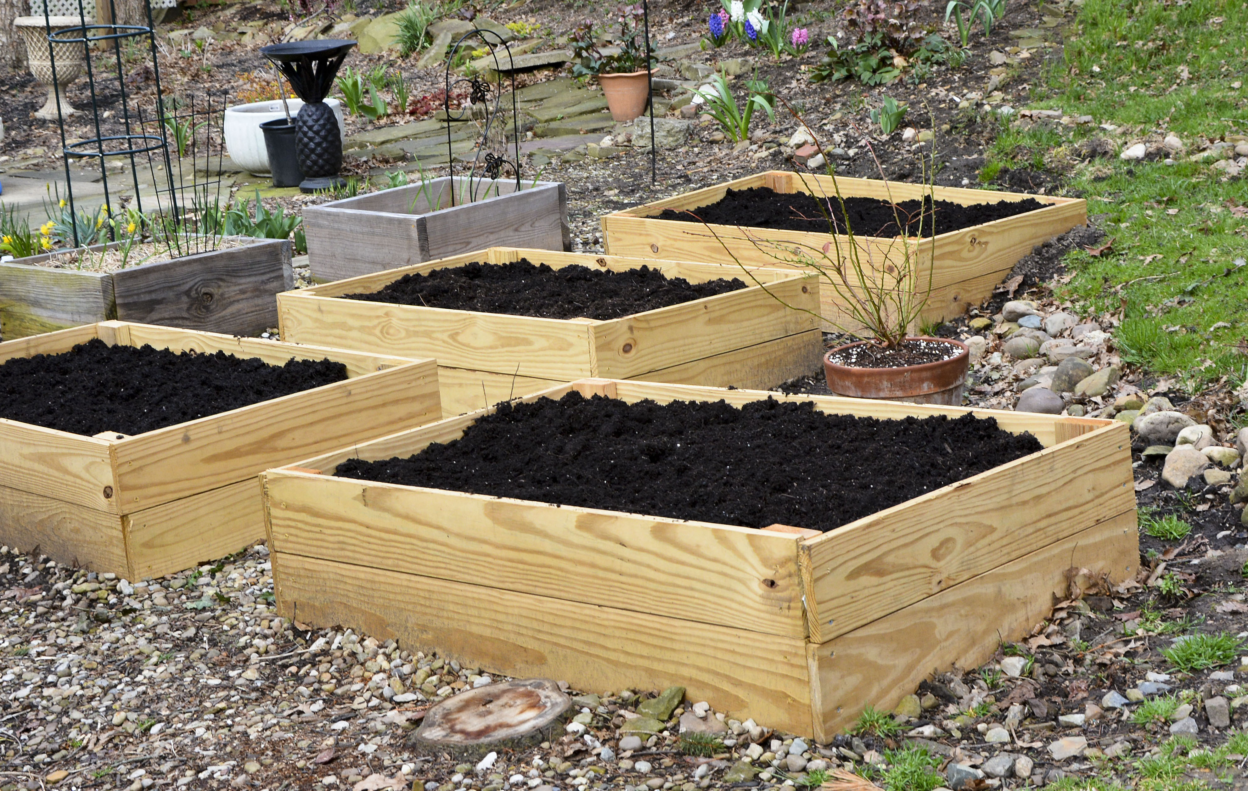 Raised Garden Beds With Soil