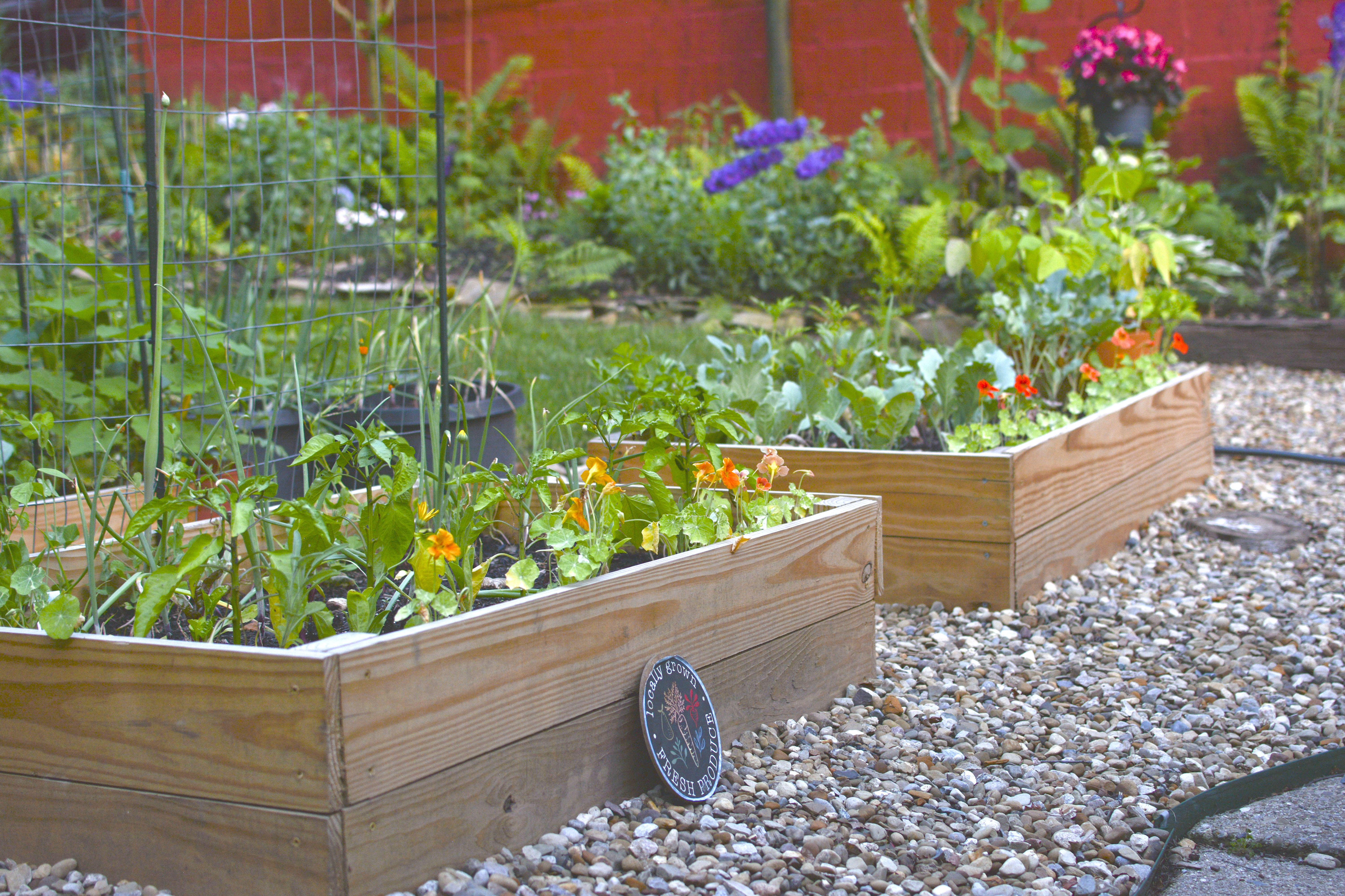 Raised Veggie Garden Beds