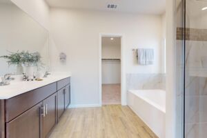 Owner's Bathroom