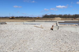 Homesite