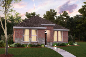 Camellia Elevation B
