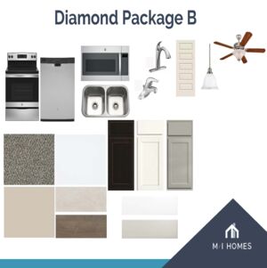 Selection Options 