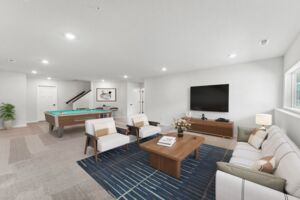 Lower Level Recreation Room