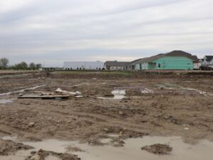 Homesite