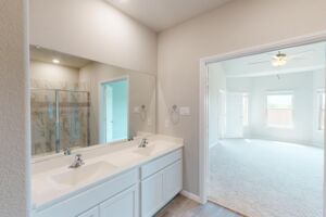 Owner's Bathroom