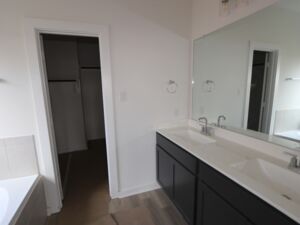 Owner's Bathroom
