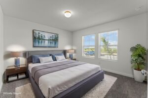 Virtual Representation