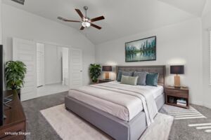 Virtual Representation