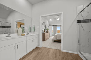 Owner's Bathroom