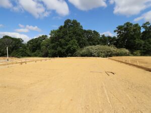 Homesite