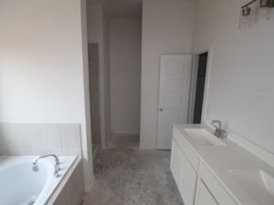 Owner's Bathroom