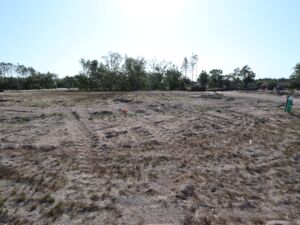 Homesite