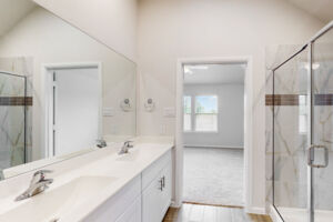 Owner's Bathroom