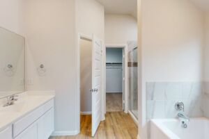 Owner's Bathroom