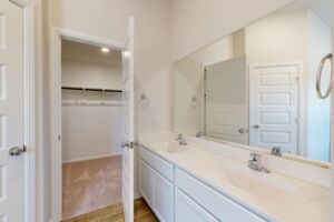 Owner's Bathroom