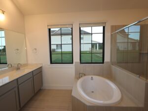 Owner's Bathroom